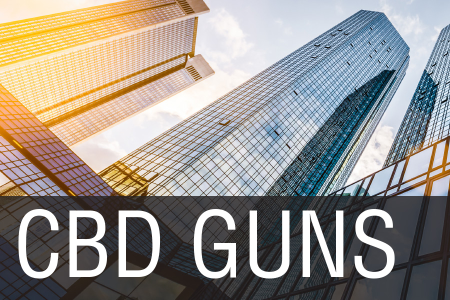 CBD Guns 2024