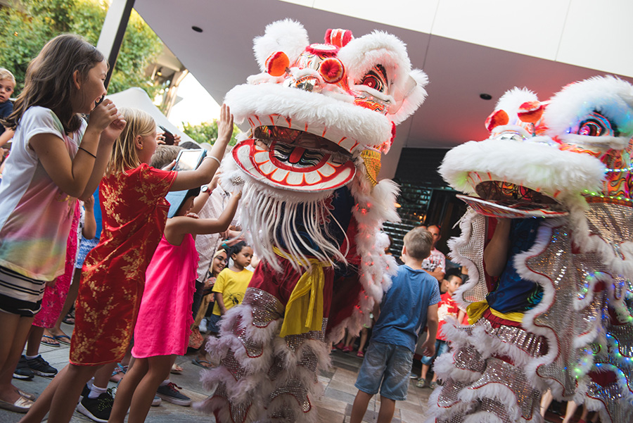 Lunar New Year drives retail sales