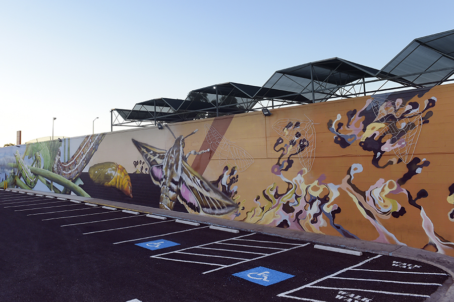 NT’s Yeperenye Shopping Centre delivers community mural