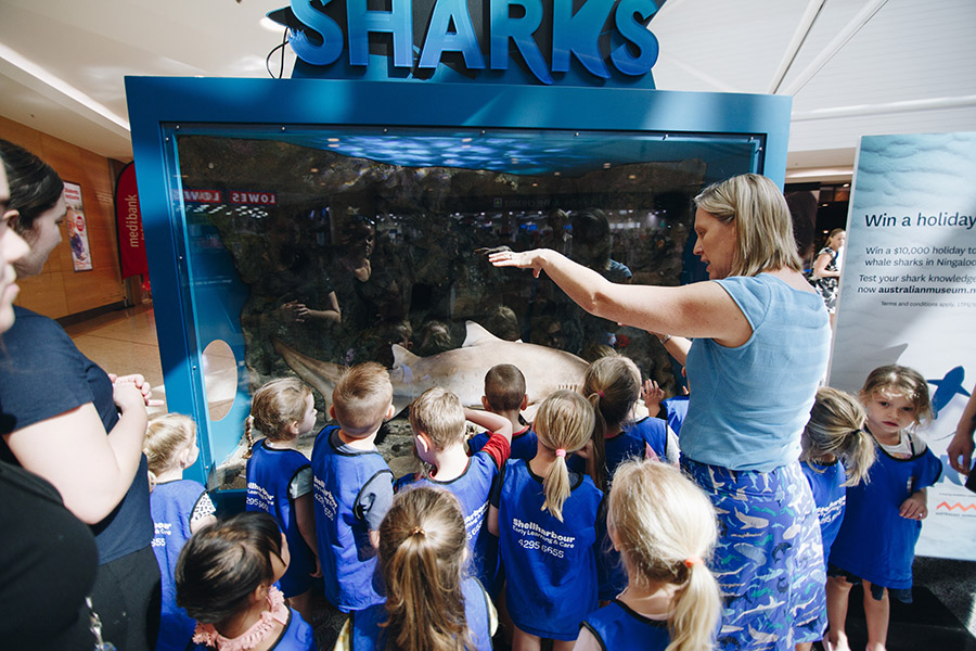 Stockland partners with the Australian Museum to deliver a world of sharks