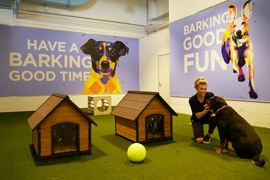 Scentre Group’s first doggy daycare opens at Westfield Warringah Mall