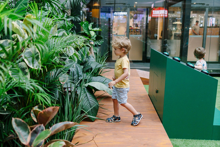 Indoor rainforest transforms Greensborough Plaza into a nature lover’s paradise