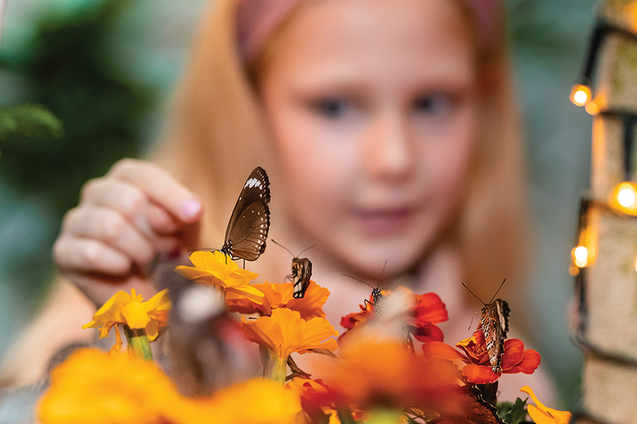 Grand Central’s ‘Butterfly House’ campaign