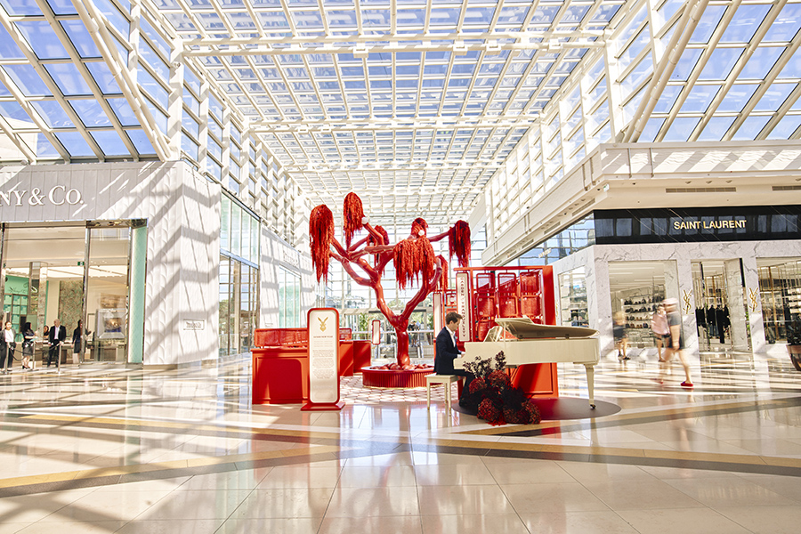 Lunar New Year celebrations light up local shopping centres