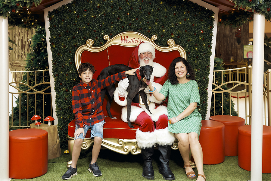 Santa Photography bookings officially open at Westfield