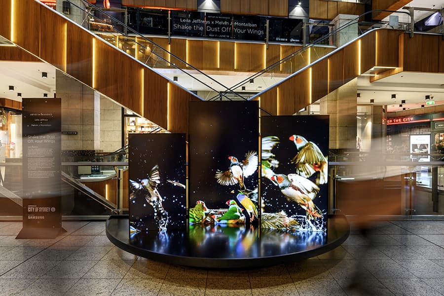 The Galeries’ Artist in Residence program with City of Sydney takes flight